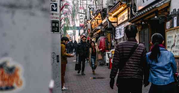 现场展板解说视频